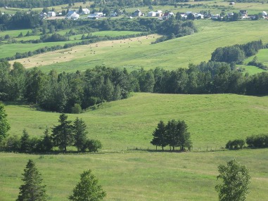 Paturages